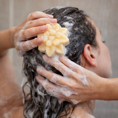 Shampoo Bar